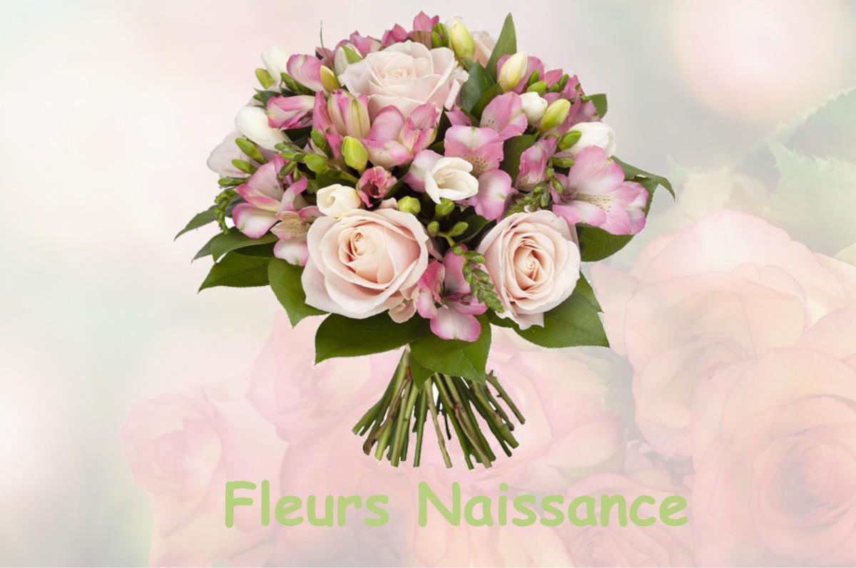 fleurs naissance SAINT-PIERRE-DES-LOGES